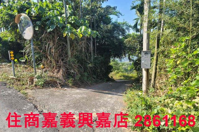 嘉義梅山農地-9