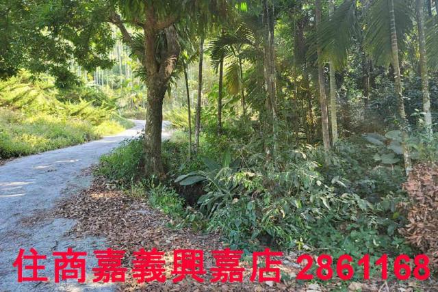 嘉義梅山農地-0