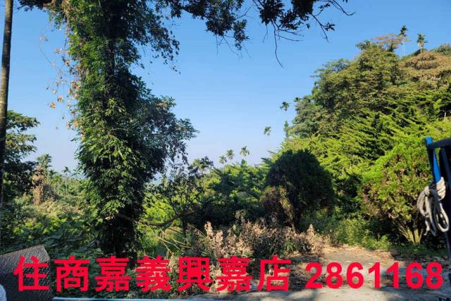 嘉義梅山農地-1