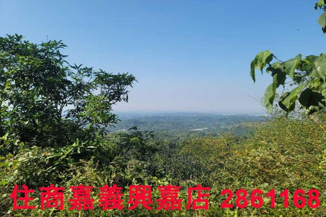 嘉義梅山農地-2
