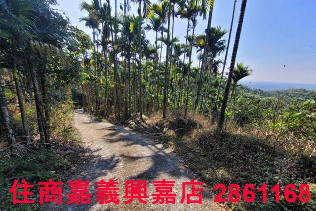 嘉義梅山農地-7
