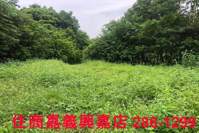 嘉義番路農地-1