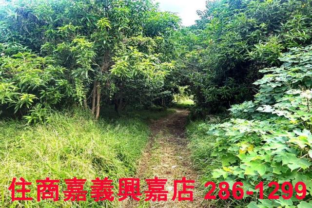 新竹農地-4