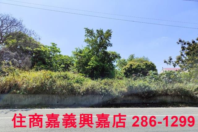 台南建地-2