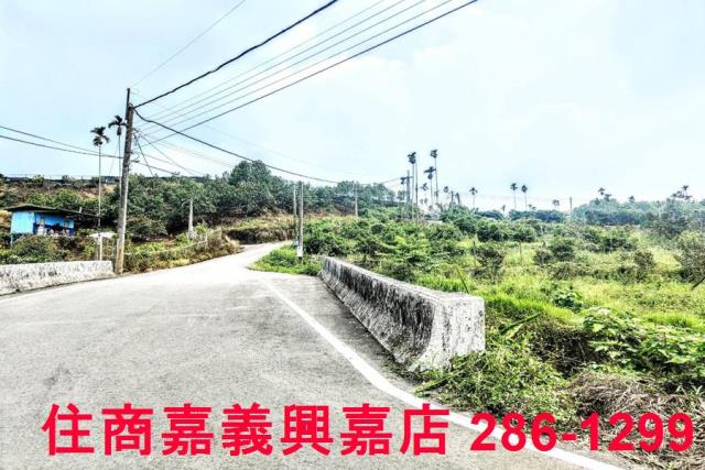 竹崎農地-0