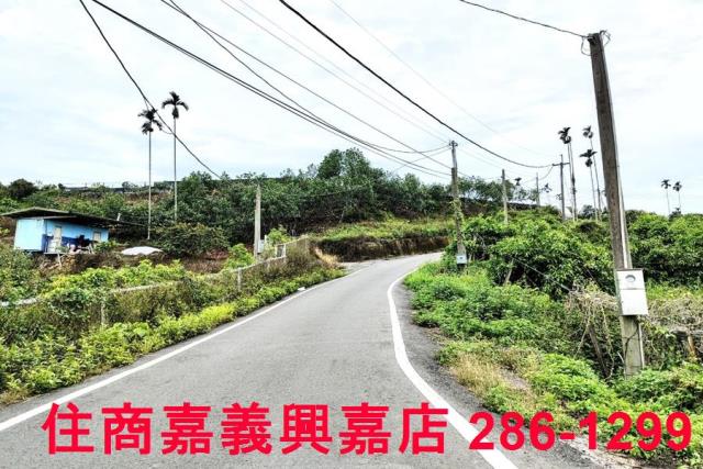 竹崎農地-1