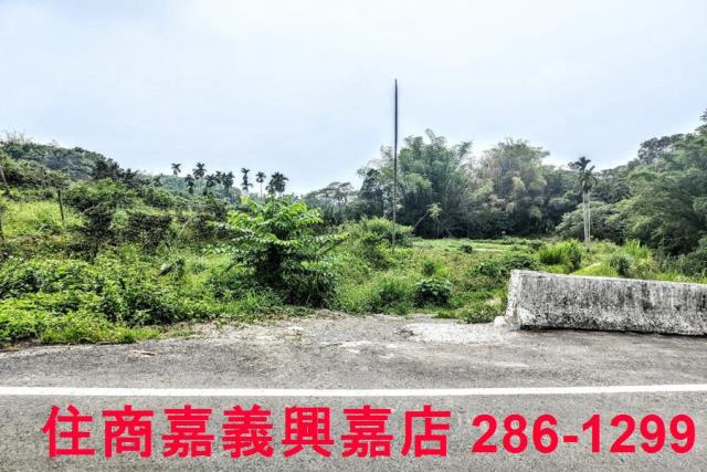 竹崎農地-2