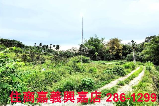 竹崎農地-3
