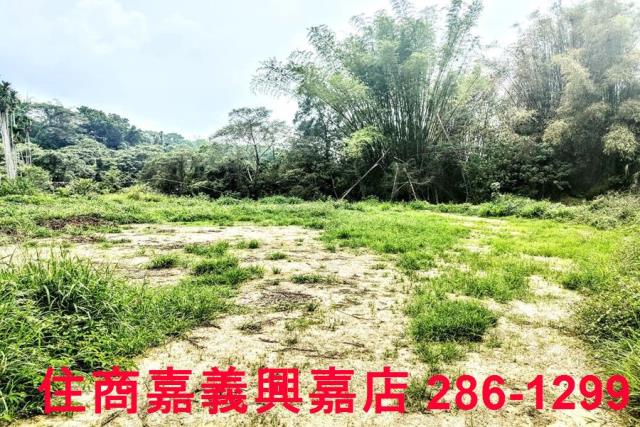 竹崎農地-4