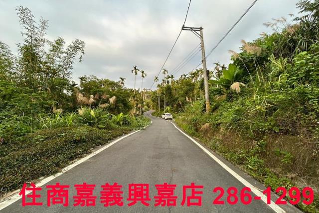 中埔農地-1