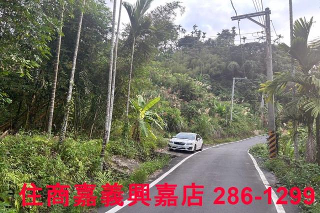 中埔農地-2