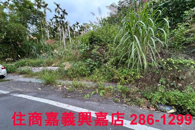 中埔農地-3