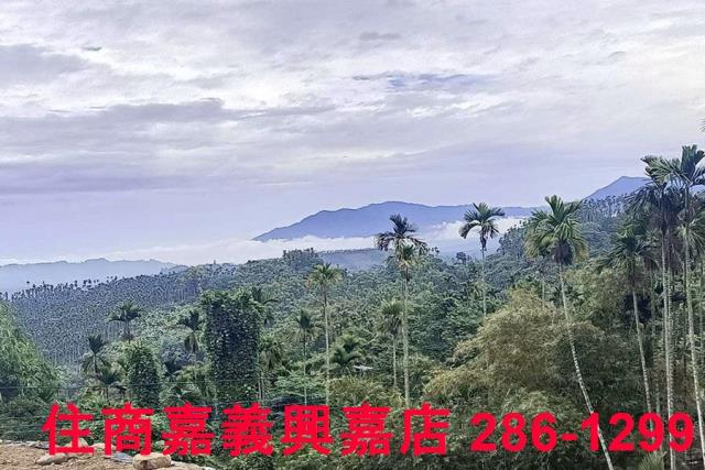 中埔農地-7