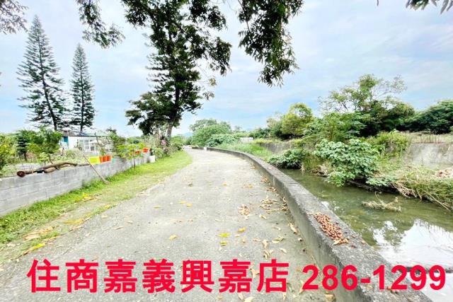 竹崎農地-0