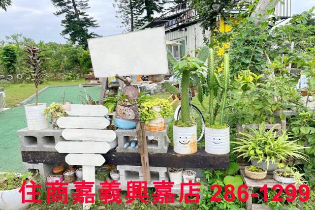 竹崎農地-4