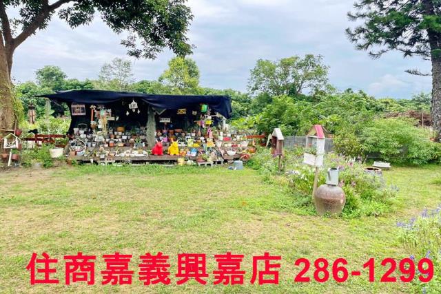 竹崎農地-5