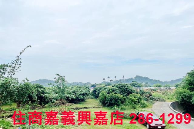 竹崎農地-8