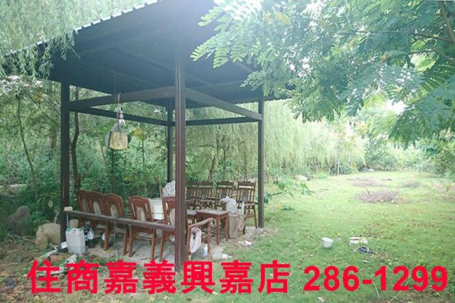 東區農地-9