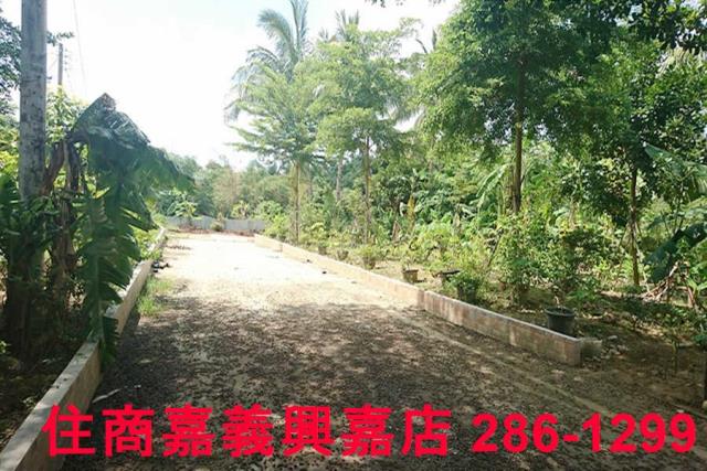 東區農地-10