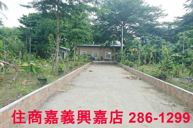 東區農地-1