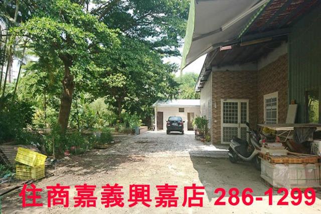 東區農地-4