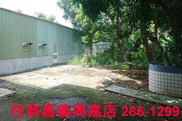 東區農地-6