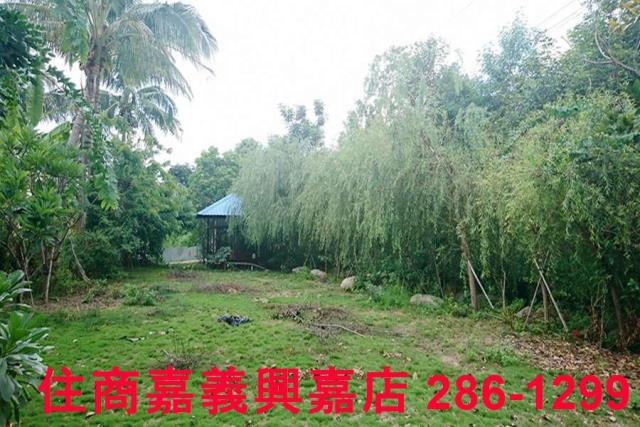 東區農地-8
