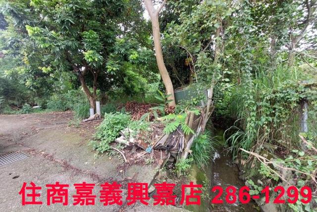 嘉義農地-6
