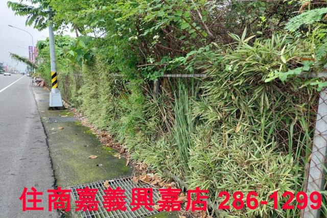 嘉義農地-7