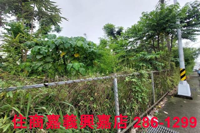 嘉義農地-8