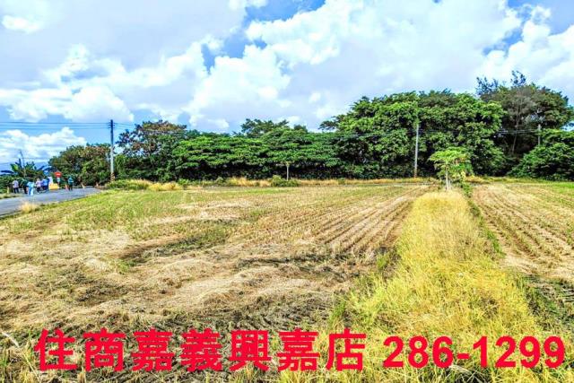 民雄農地-9