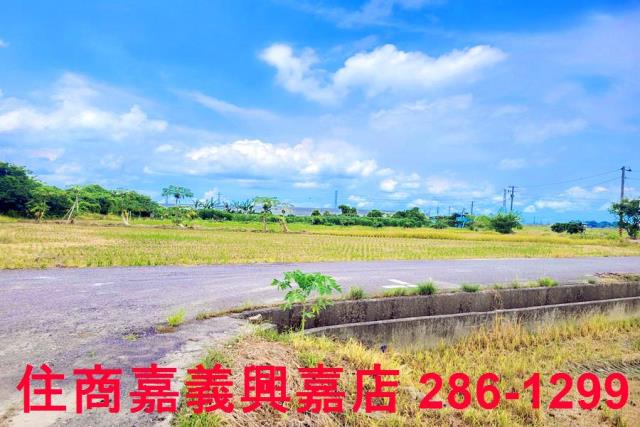 民雄農地-2
