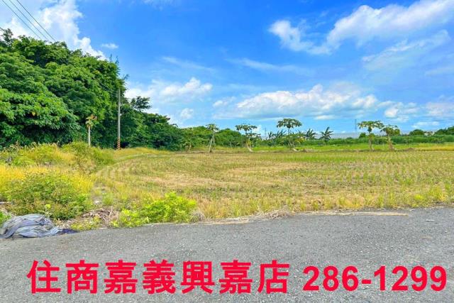 民雄農地-3