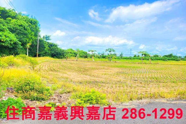 民雄農地-5