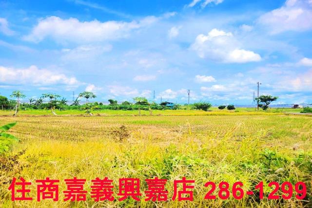 民雄農地-7