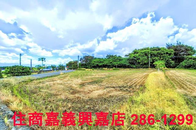 民雄農地-8