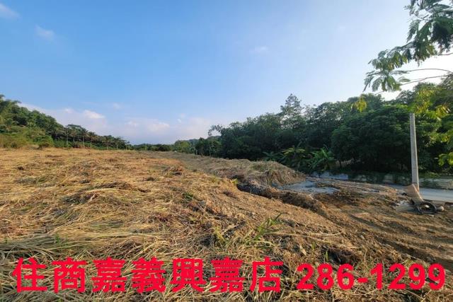 嘉義農地-4