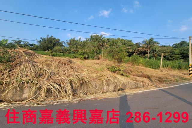 嘉義農地-8