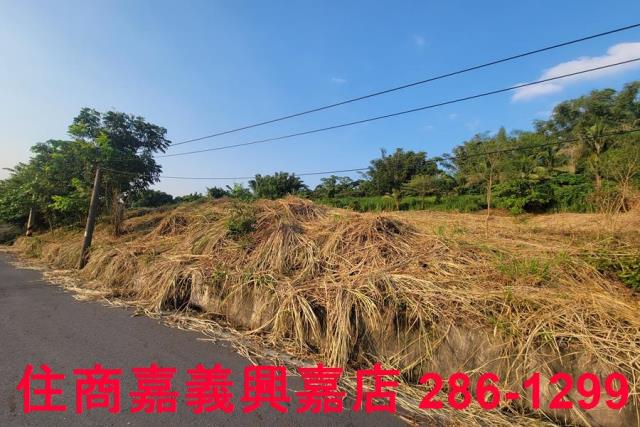 嘉義農地-1