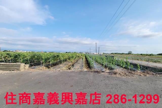 嘉義農地-9