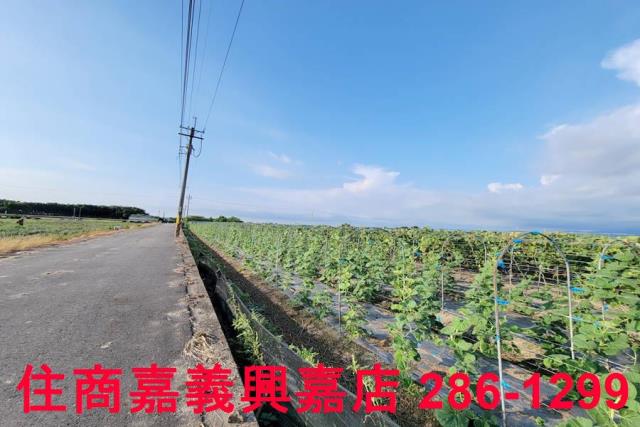 嘉義農地-1