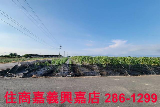 嘉義農地-4