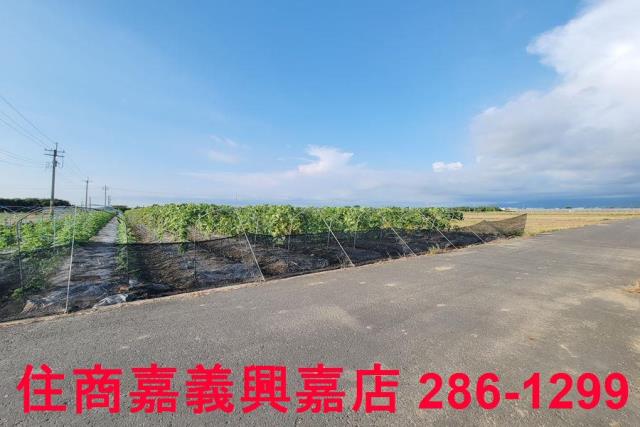 嘉義農地-5
