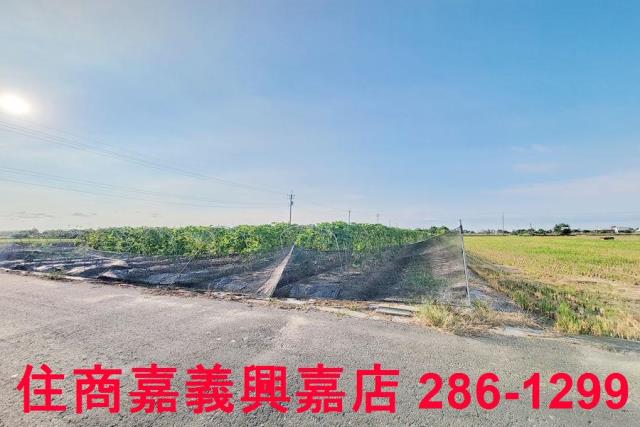 嘉義農地-6