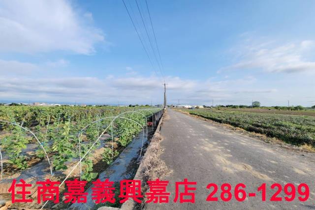 嘉義農地-7