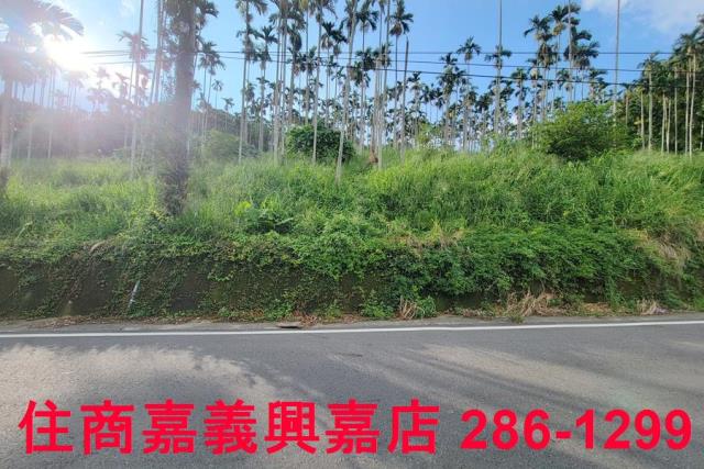 嘉義中埔農地-3