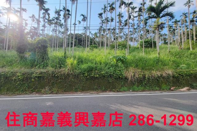 嘉義中埔農地-6