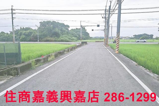 大林農地-2