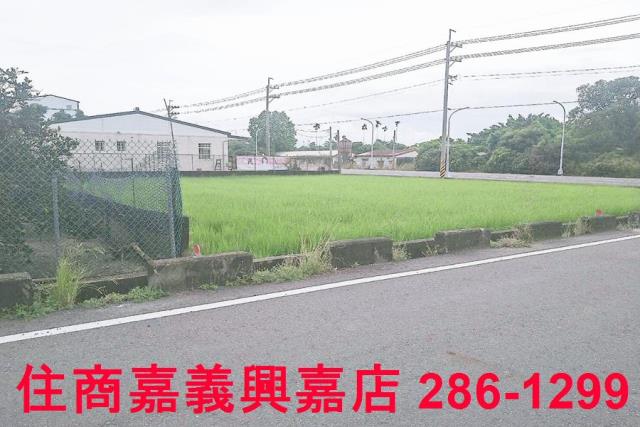 大林農地-3