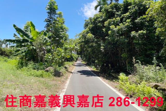 嘉義中埔農地-9